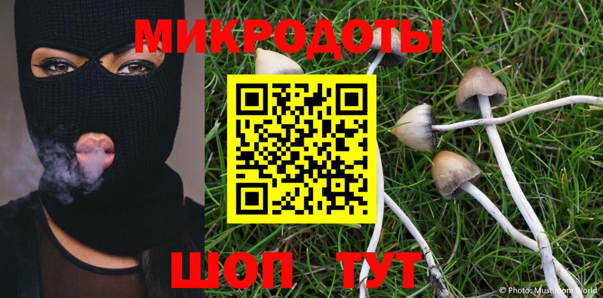 Алексеевка  Галлюциногенные грибы ЛСД  Вход с VPN 